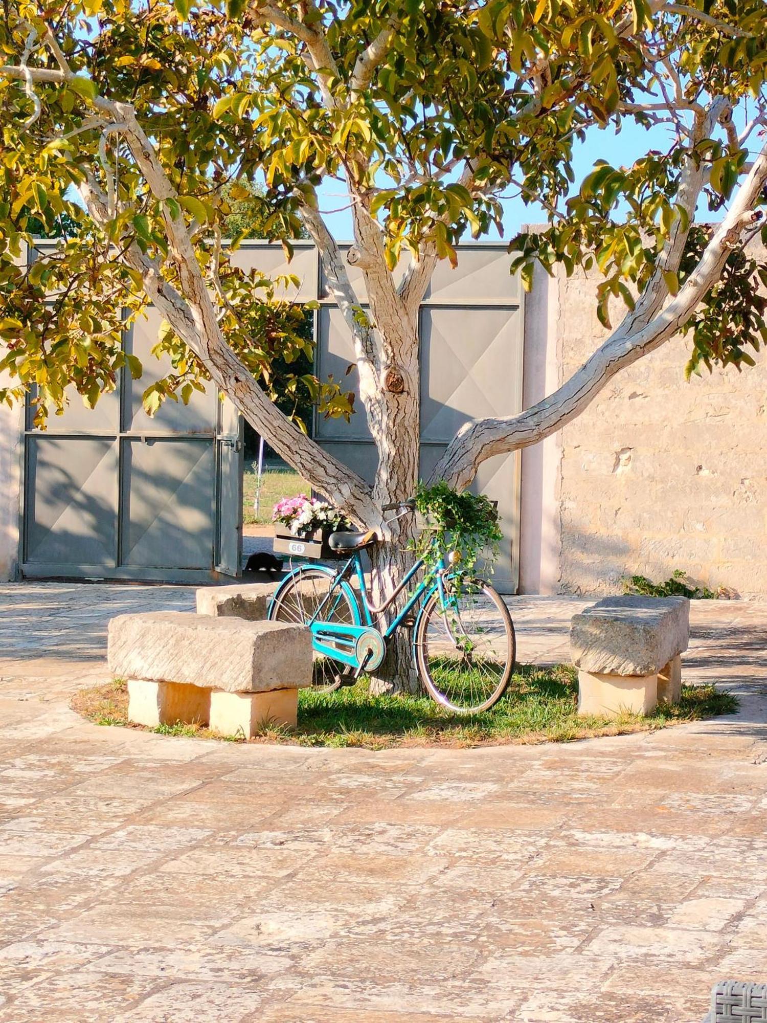 Masseria Furca Алимини Экстерьер фото